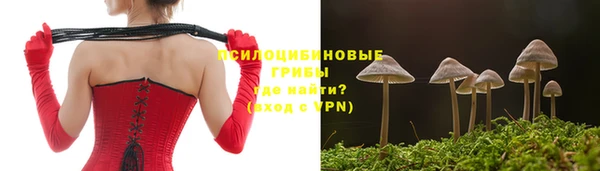 соль ск Володарск