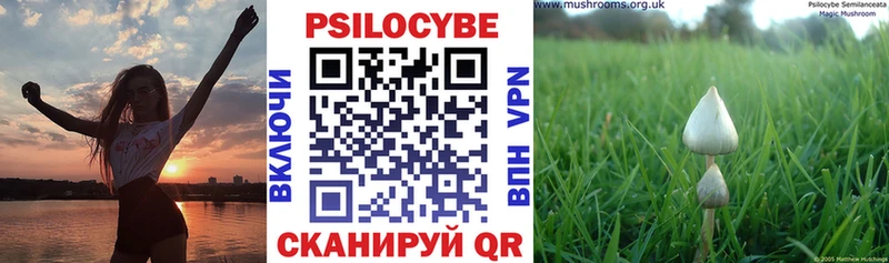 Галлюциногенные грибы GOLDEN TEACHER Томск